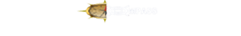 Compass Shipping Services L.L.C. logo